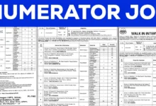 Enumerator Jobs