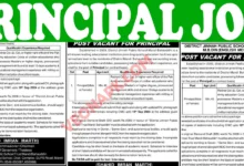 Principal job in punjab