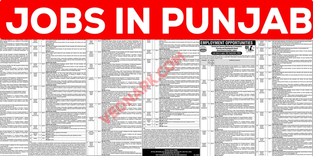 jobs in punjab thumbnail