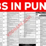 jobs in punjab thumbnail