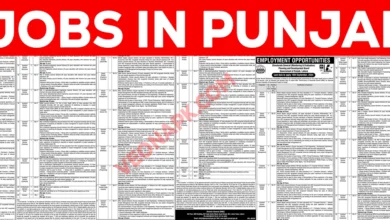 jobs in punjab thumbnail