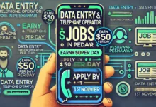 Data Entry & Telephone Operator Jobs in Peshawar | Earn $50 Per Day - Apply by 1st November 2024